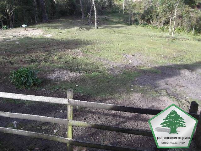 Área para Venda em Campos do Jordão - 5