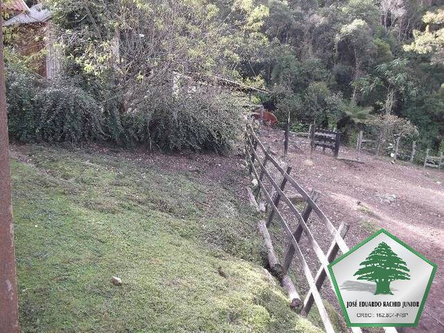 Área para Venda em Campos do Jordão - 4