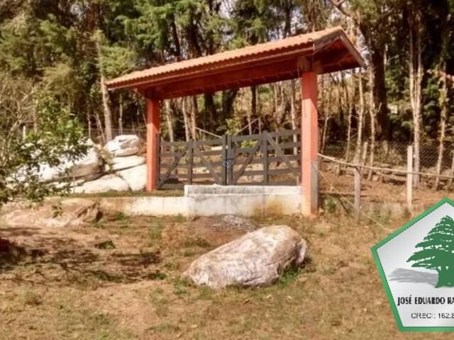 Chácara para Venda em Sapucaí-Mirim - 5