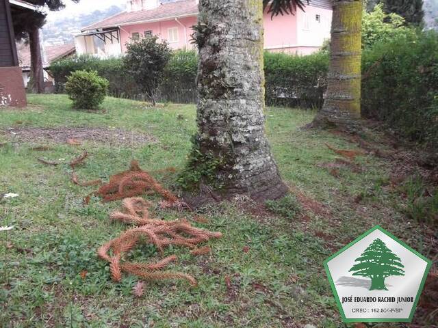 Casa para Venda em Campos do Jordão - 5