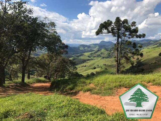 Sítio para Venda em Piranguçu - 5
