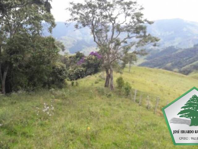 #1031 - Fazenda para Venda em Porto Alegre - RS - 1