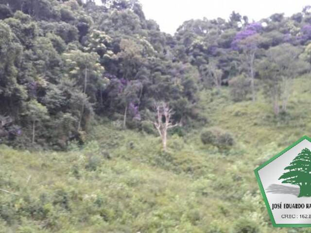 #1031 - Fazenda para Venda em Porto Alegre - RS - 3