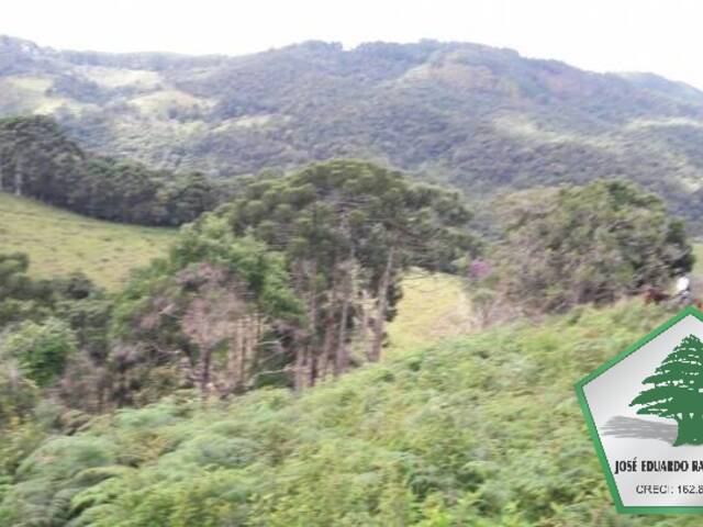 Fazenda para Venda em Porto Alegre - 4