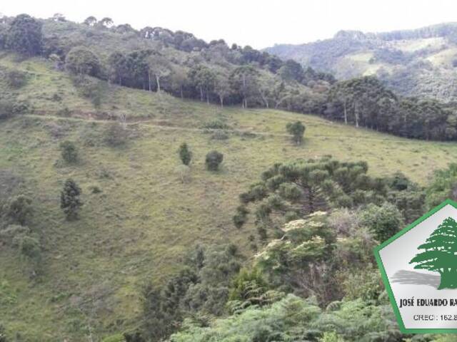 Fazenda para Venda em Porto Alegre - 5