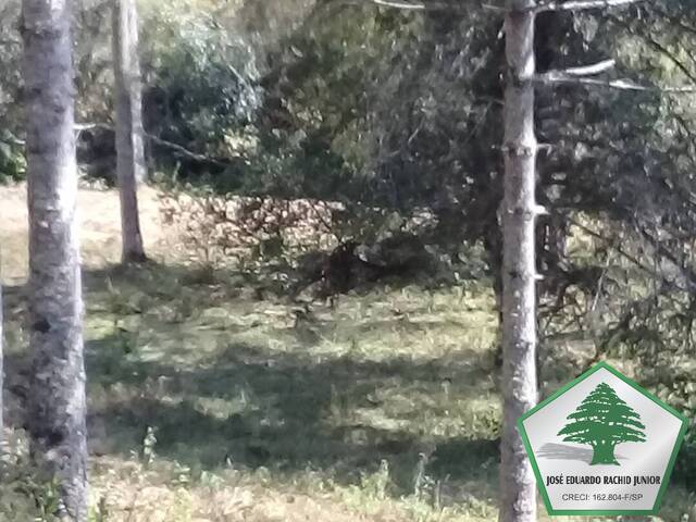 Sítio para Venda em Piranguçu - 4