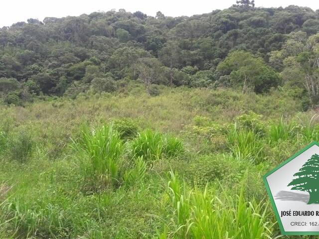 Sítio para Venda em Sapucaí-Mirim - 4