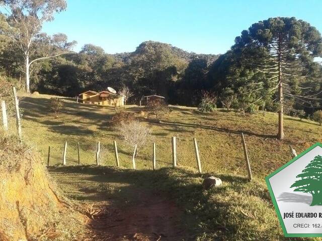 Sítio para Venda em Campos do Jordão - 5