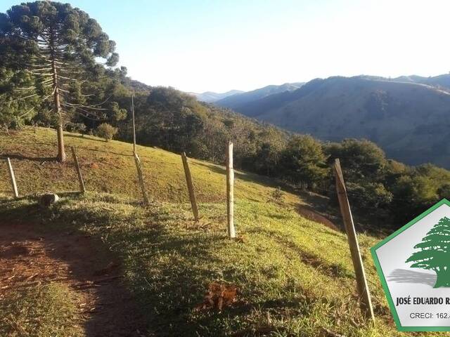 Sítio para Venda em Campos do Jordão - 4