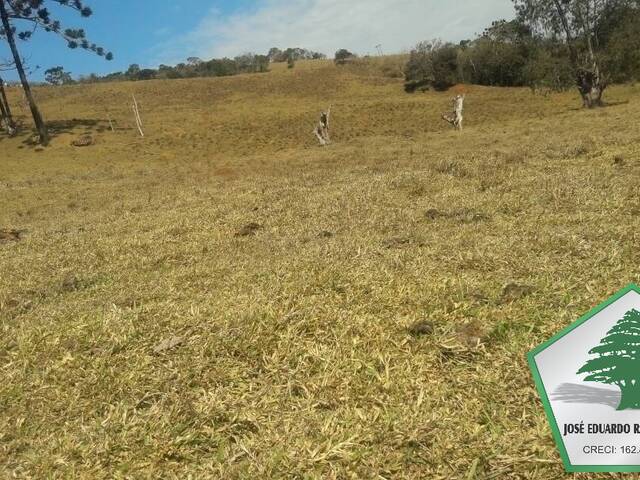 #2012 - Sítio para Venda em São Bento do Sapucaí - SP - 3