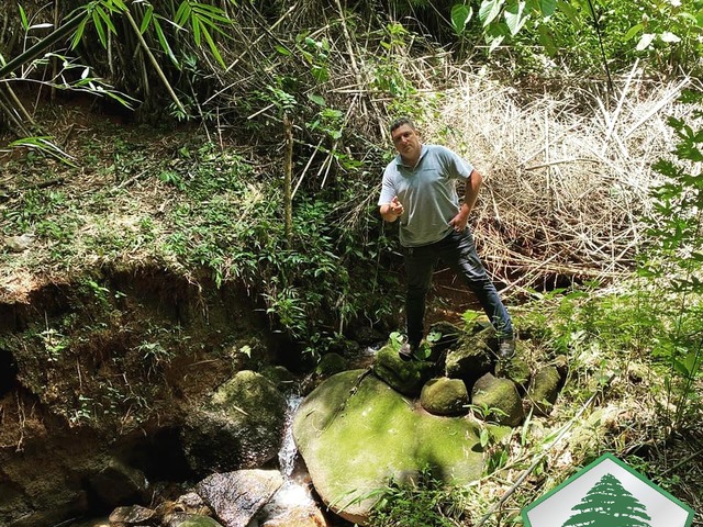 #2013 - Chácara para Venda em Sapucaí-Mirim - MG - 2