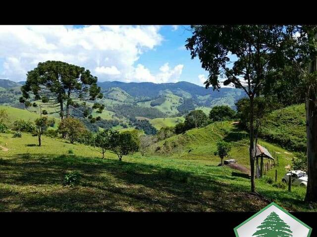 #2007 - Sítio para Venda em Campos do Jordão - SP - 1