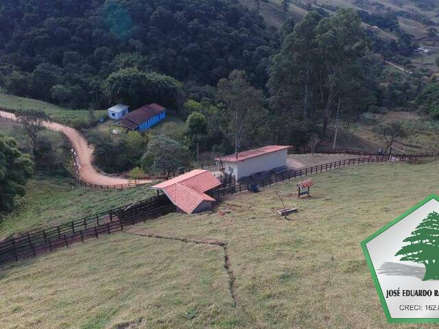 Chácara para Venda em Sapucaí-Mirim - 5