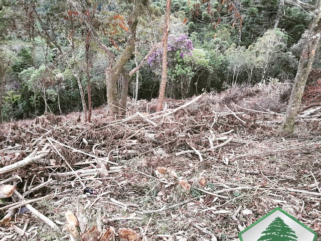 Área para Venda em Campos do Jordão - 4