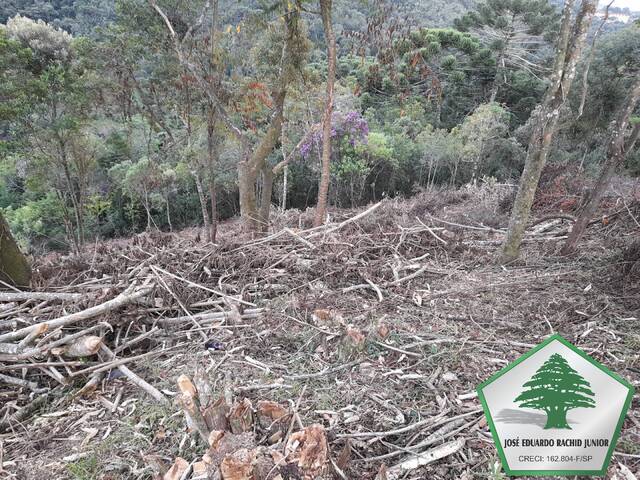 #2020 - Área para Venda em Campos do Jordão - SP - 1