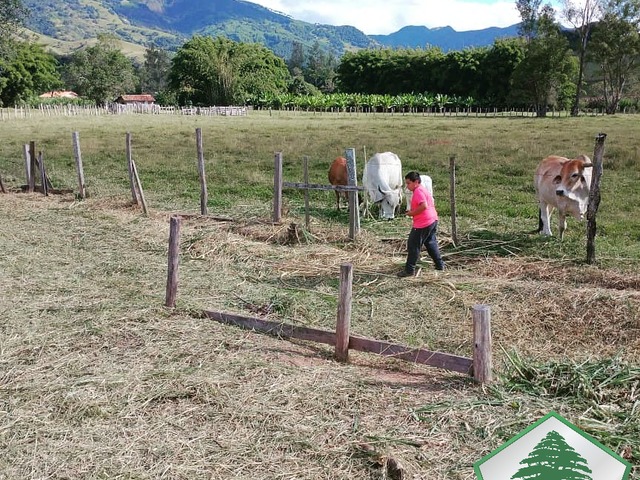 #2021 - Terreno para Venda em Piranguçu - MG - 1