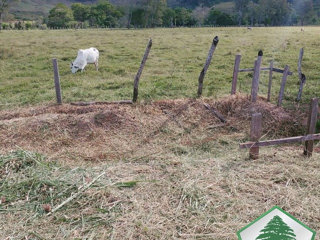 #2021 - Terreno para Venda em Piranguçu - MG