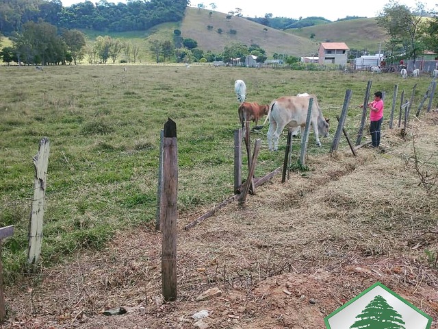 Terreno para Venda em Piranguçu - 5