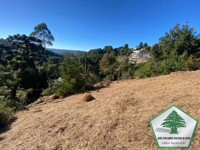 Venda em Alto da Boa Vista - Campos do Jordão