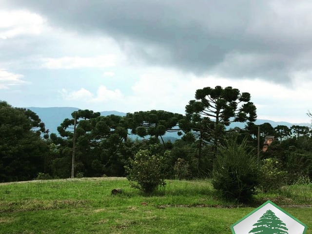 Casa para Venda em Campos do Jordão - 4