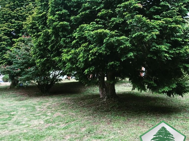 Casa para Venda em Campos do Jordão - 5