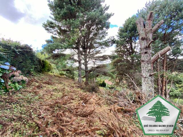 Área para Venda em Campos do Jordão - 4