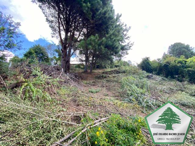 #2035 - Área para Venda em Campos do Jordão - SP - 2