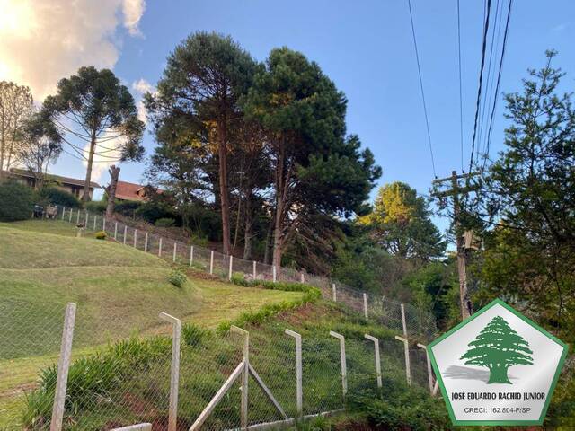 #2035 - Área para Venda em Campos do Jordão - SP