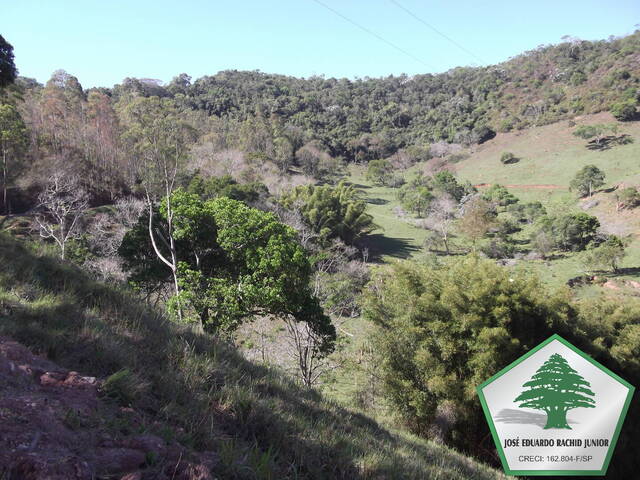 #2039 - Fazenda para Venda em Natividade da Serra - SP - 3