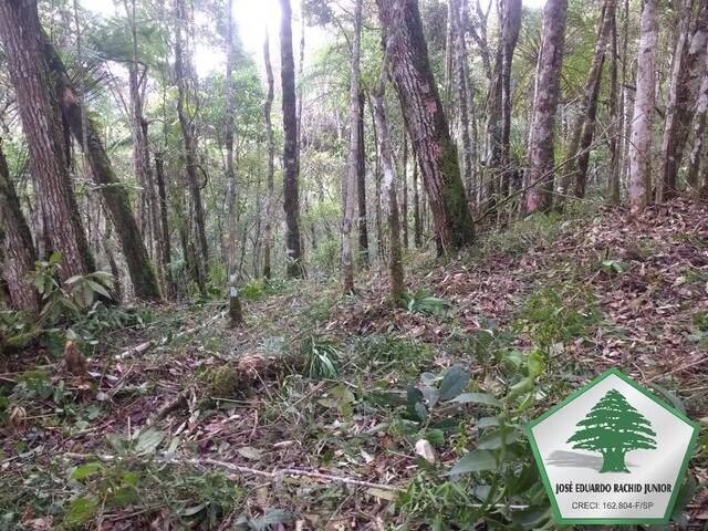 #2049 - Área para Venda em Campos do Jordão - SP