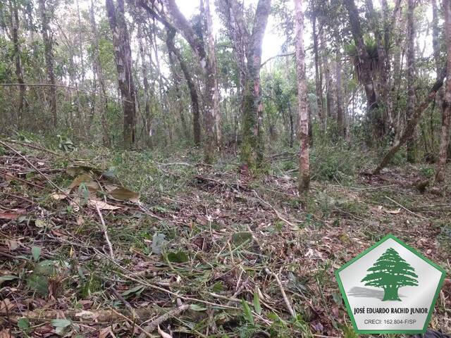 #2049 - Área para Venda em Campos do Jordão - SP