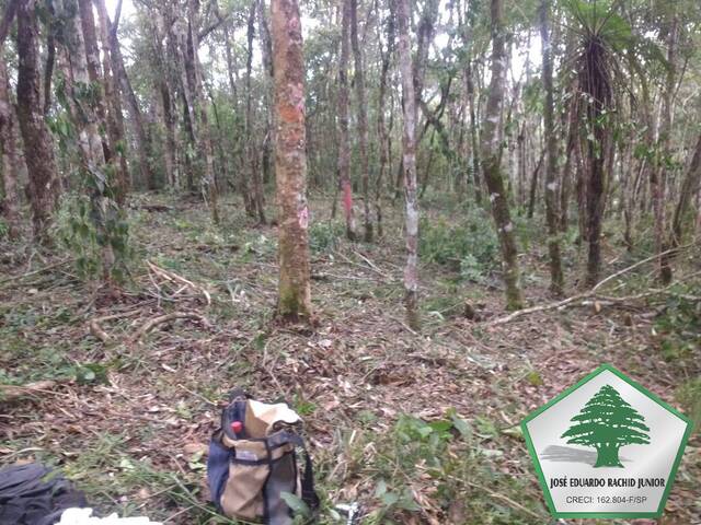 #2049 - Área para Venda em Campos do Jordão - SP