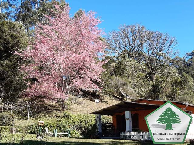 Venda em Paiol Grande - São Bento do Sapucaí