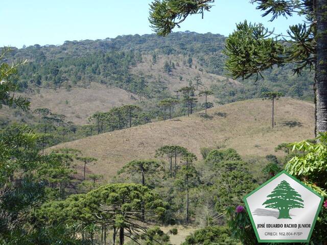 Venda em Horto Florestal - Campos do Jordão