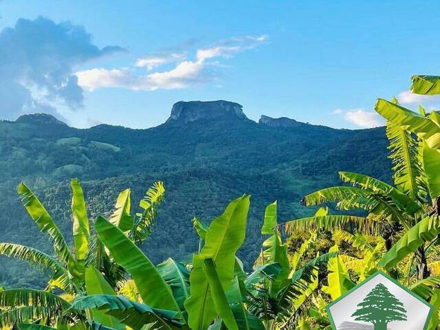 #2081 - Área para Venda em São Bento do Sapucaí - SP