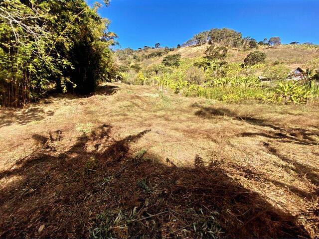 #2081 - Área para Venda em São Bento do Sapucaí - SP