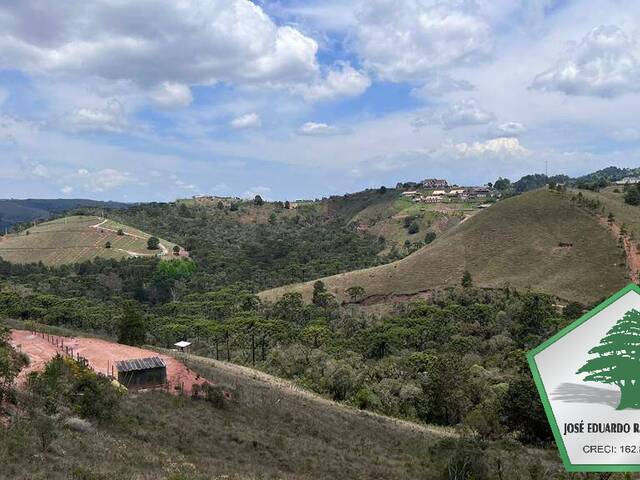 Terreno para Venda em Campos do Jordão - 5