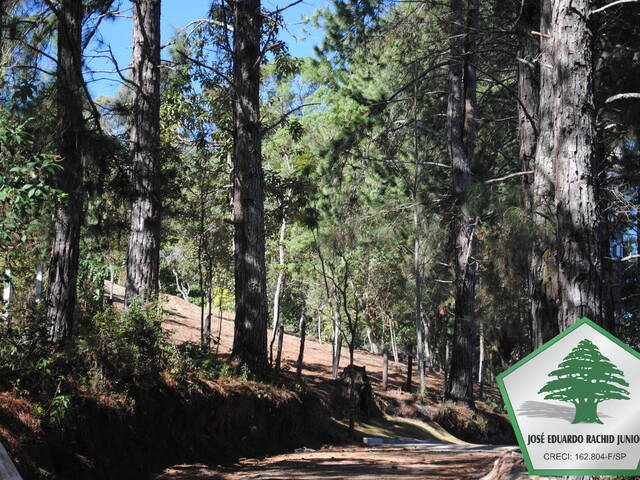 Área para Venda em Campos do Jordão - 4