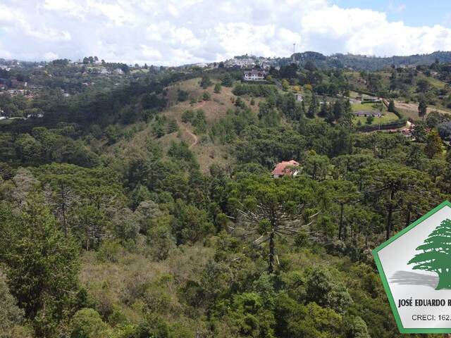 Terreno para Venda em Campos do Jordão - 4