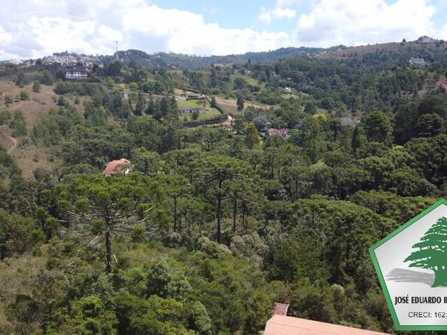 #2091 - Terreno para Venda em Campos do Jordão - SP - 3