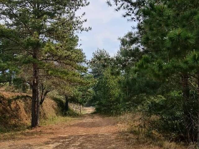 #2094 - Terreno para Venda em Campos do Jordão - SP - 2