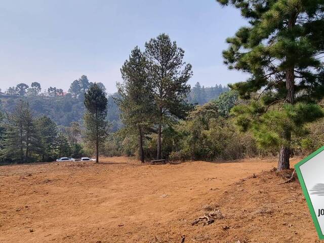 #2094 - Terreno para Venda em Campos do Jordão - SP - 3