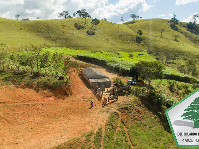 Venda em Bairro do Sítio - São Bento do Sapucaí