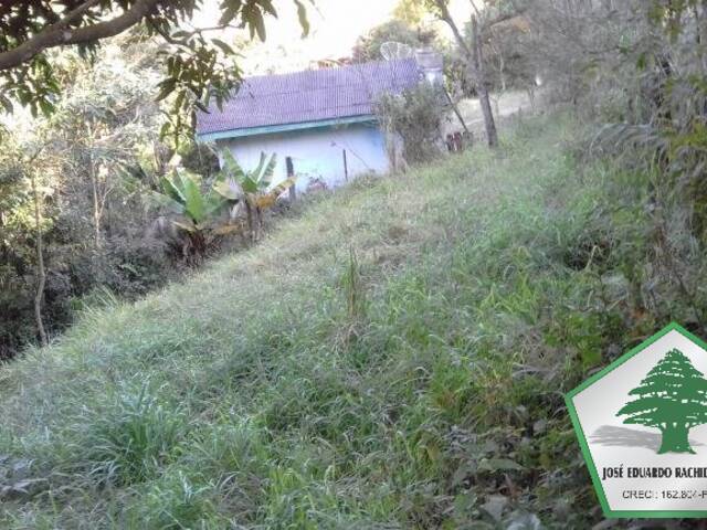#1036 - Área para Venda em Santo Antônio do Pinhal - SP - 2