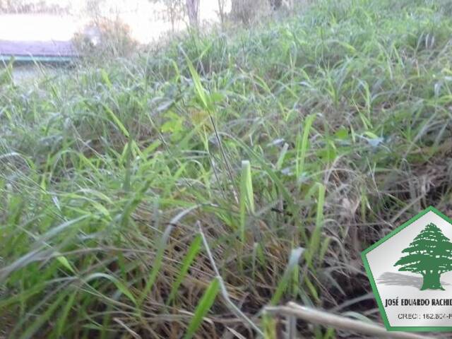 Área para Venda em Santo Antônio do Pinhal - 4