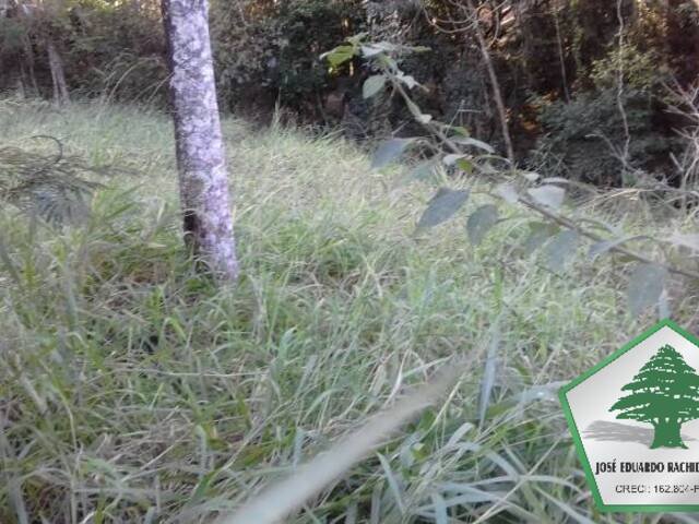 Área para Venda em Santo Antônio do Pinhal - 5