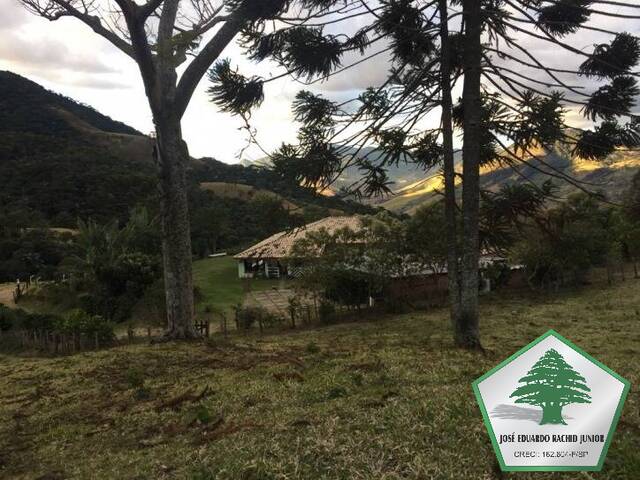 Sítio para Venda em Brasópolis - 4