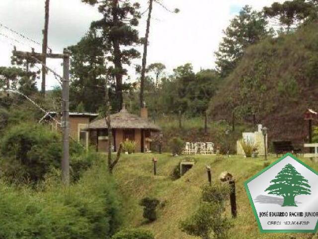 #1045 - Casa para Venda em Campos do Jordão - SP - 1