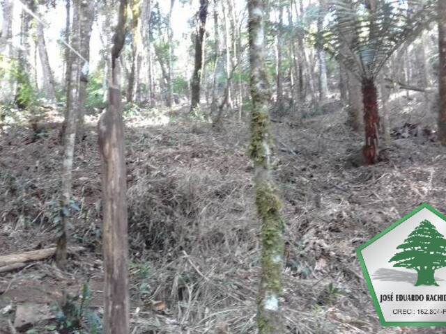 #1044 - Terreno para Venda em Campos do Jordão - SP - 1