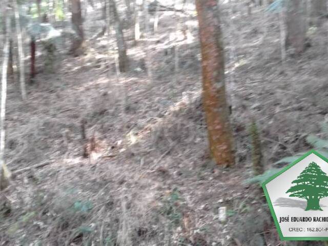 Terreno para Venda em Campos do Jordão - 4